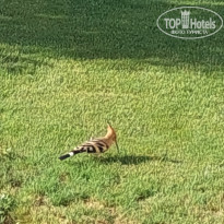 фото из отзыва ID 2376616