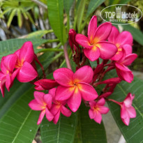 фото из отзыва ID 2376847