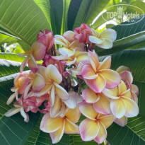 фото из отзыва ID 2376847