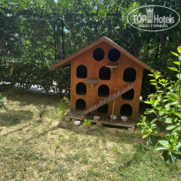 фото из отзыва ID 2376897