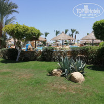 фото из отзыва ID 2377127