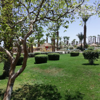 фото из отзыва ID 2377127