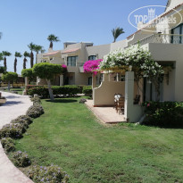 фото из отзыва ID 2377127