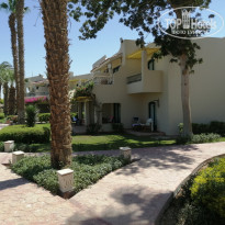 фото из отзыва ID 2377127