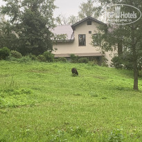 фото из отзыва ID 2377224