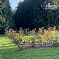 фото из отзыва ID 2377224