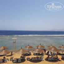 фото из отзыва ID 2377203