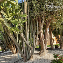 фото из отзыва ID 2377203