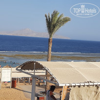 фото из отзыва ID 2377203