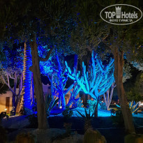 фото из отзыва ID 2377203