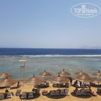 фото из отзыва ID 2377203