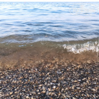 фото из отзыва ID 2377331