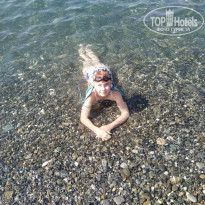 фото из отзыва ID 2377447