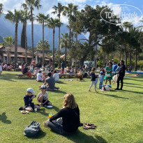 фото из отзыва ID 2377668