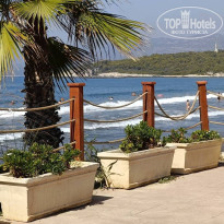 фото из отзыва ID 2377707