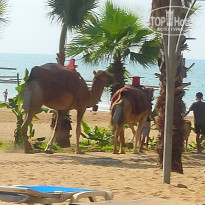 фото из отзыва ID 2377751