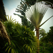фото из отзыва ID 2377788