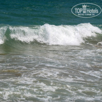 фото из отзыва ID 2375514