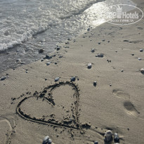 фото из отзыва ID 2377917