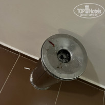 фото из отзыва ID 2377922