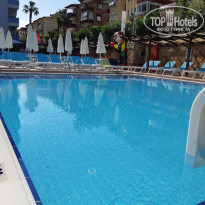 фото из отзыва ID 2378117