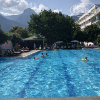 фото из отзыва ID 2378139