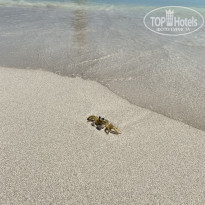 фото из отзыва ID 2378336