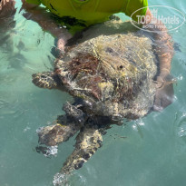 фото из отзыва ID 2378336