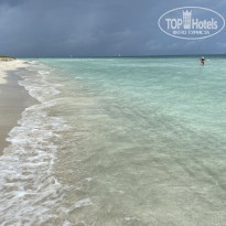 фото из отзыва ID 2378336