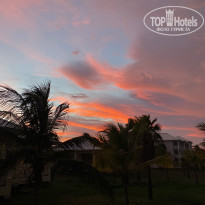 фото из отзыва ID 2378336