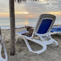 фото из отзыва ID 2378336