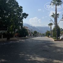 фото из отзыва ID 2378426