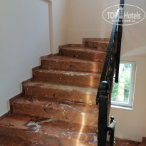 фото из отзыва ID 2378448