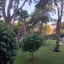 фото из отзыва ID 2378450