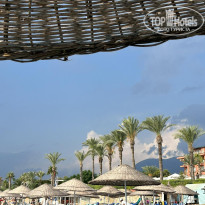 фото из отзыва ID 2378450