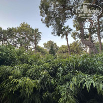 фото из отзыва ID 2378450