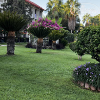 фото из отзыва ID 2378458