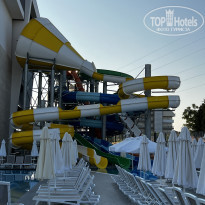 фото из отзыва ID 2378458