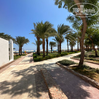 фото из отзыва ID 2378485