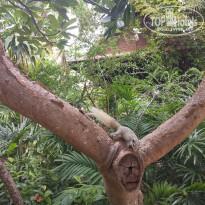 фото из отзыва ID 2378520