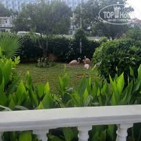 фото из отзыва ID 2378538