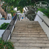 фото из отзыва ID 2378589