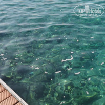 фото из отзыва ID 2378589