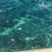 фото из отзыва ID 2378589