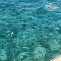 фото из отзыва ID 2378589