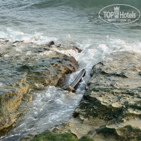 фото из отзыва ID 2378671