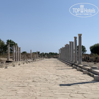 фото из отзыва ID 2378675