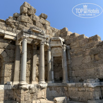 фото из отзыва ID 2378675