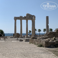 фото из отзыва ID 2378675