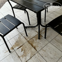 фото из отзыва ID 2378734
